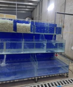 Bể Cá Hải Sản 3 tầng 2m