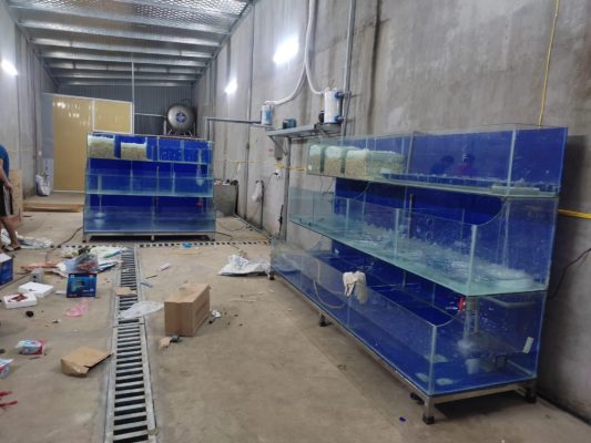 Bể Cá Hải Sản 3 Tầng Dài 2m 4 Bể Cá Hải Sản 3 tầng 2m