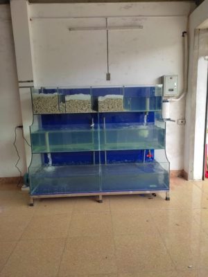 Bể Cá Hải Sản 3 tầng